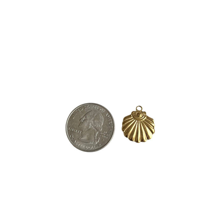 Solid Shell Charm XMTX Collections