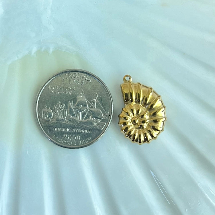 Round Conch Shell Charm XMTX Collections