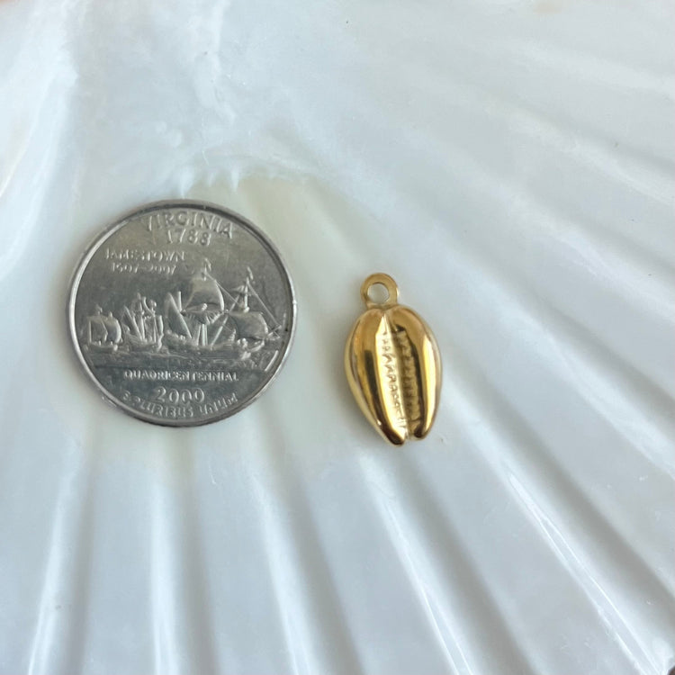 Long Shell Charm XMTX Collections