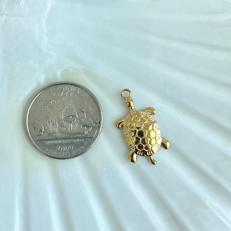 Gold Turtle Charm XMTX Collections