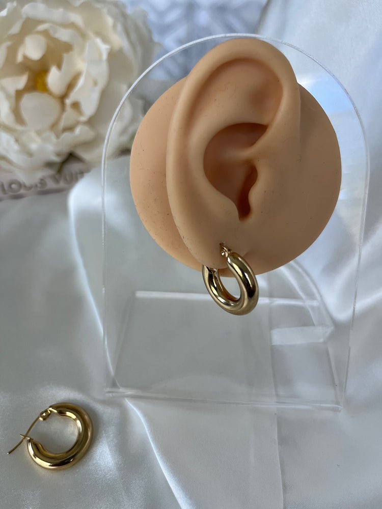Taylor Chunky Hoop Earrings XMTX Collections