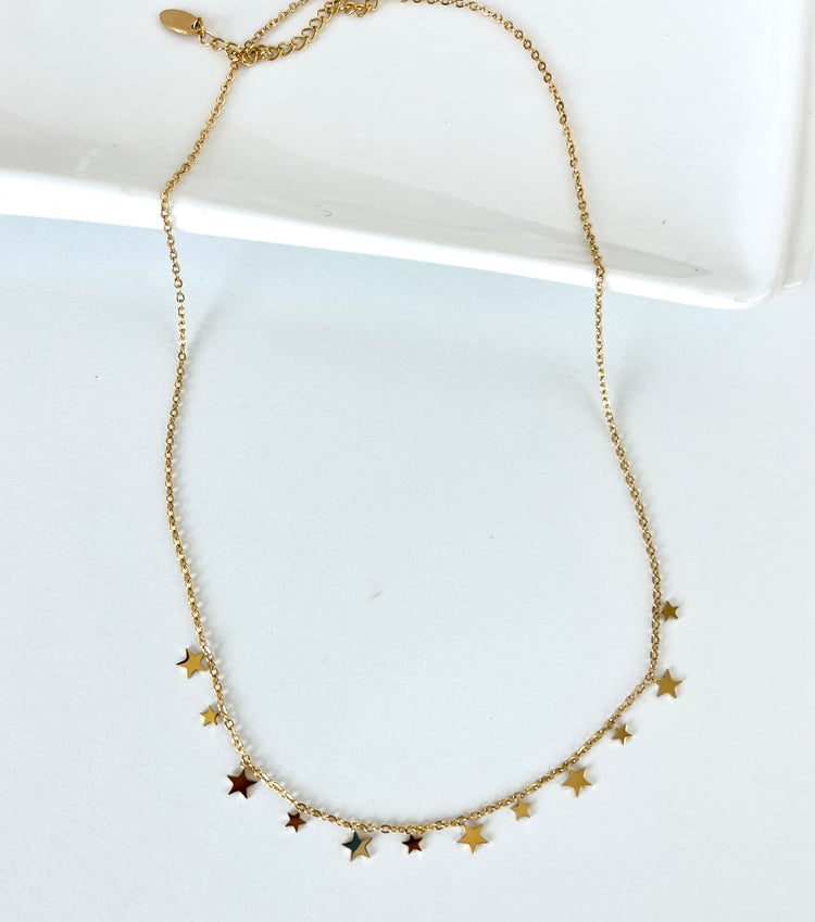 Sienna Dainty Necklace XMTX Collections