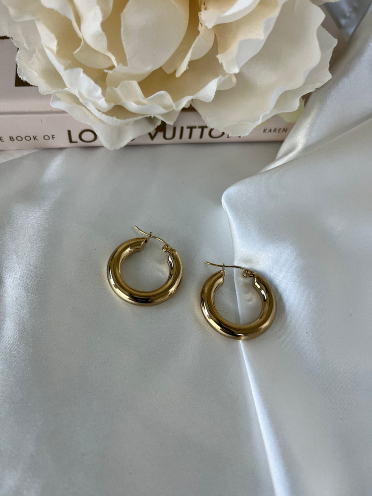 Taylor Chunky Hoop Earrings XMTX Collections