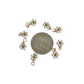 Pearl Daisy Flower Charm XMTX Collections