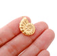 Round Conch Shell Charm XMTX Collections