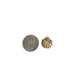 Solid Shell Charm XMTX Collections