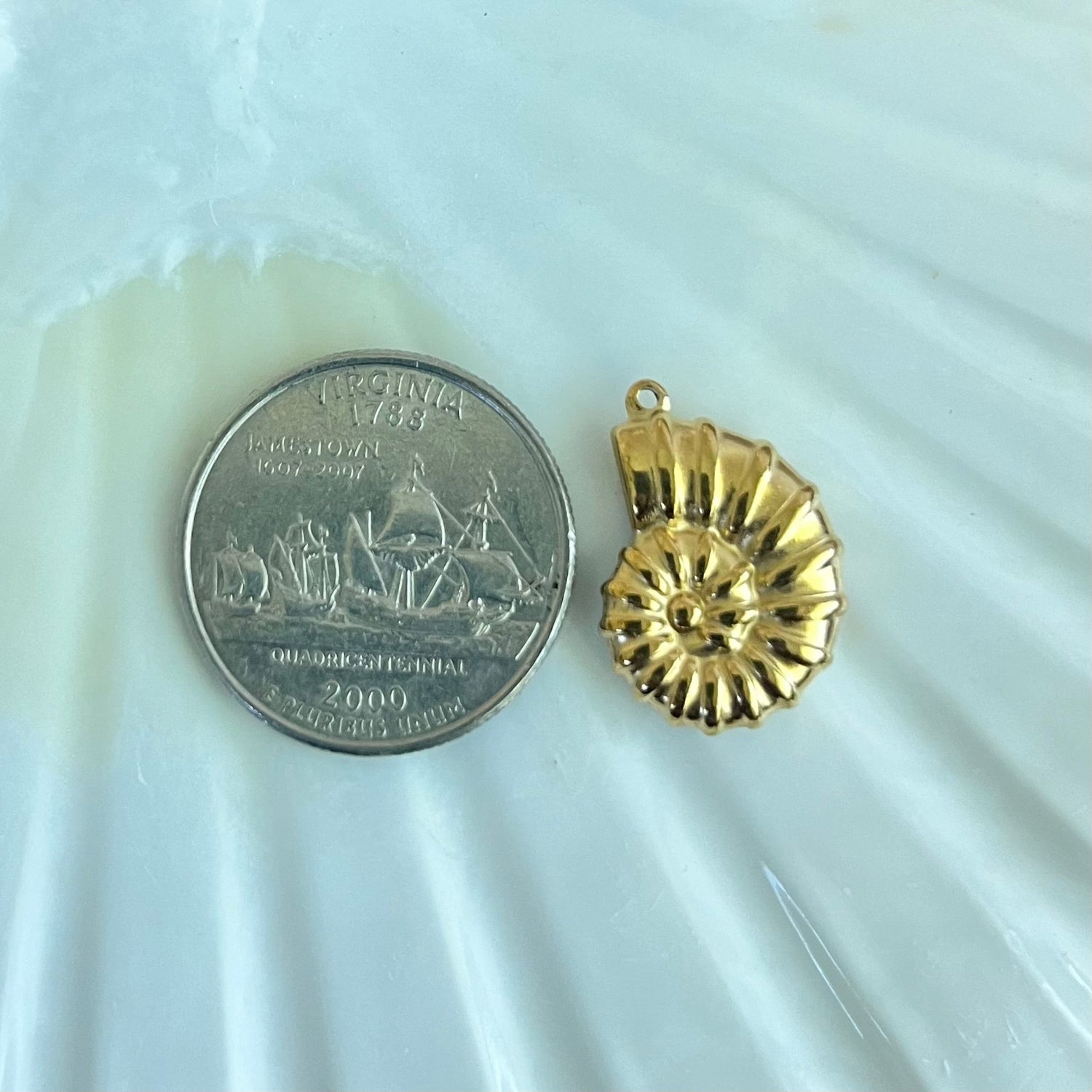 Round Conch Shell Charm XMTX Collections