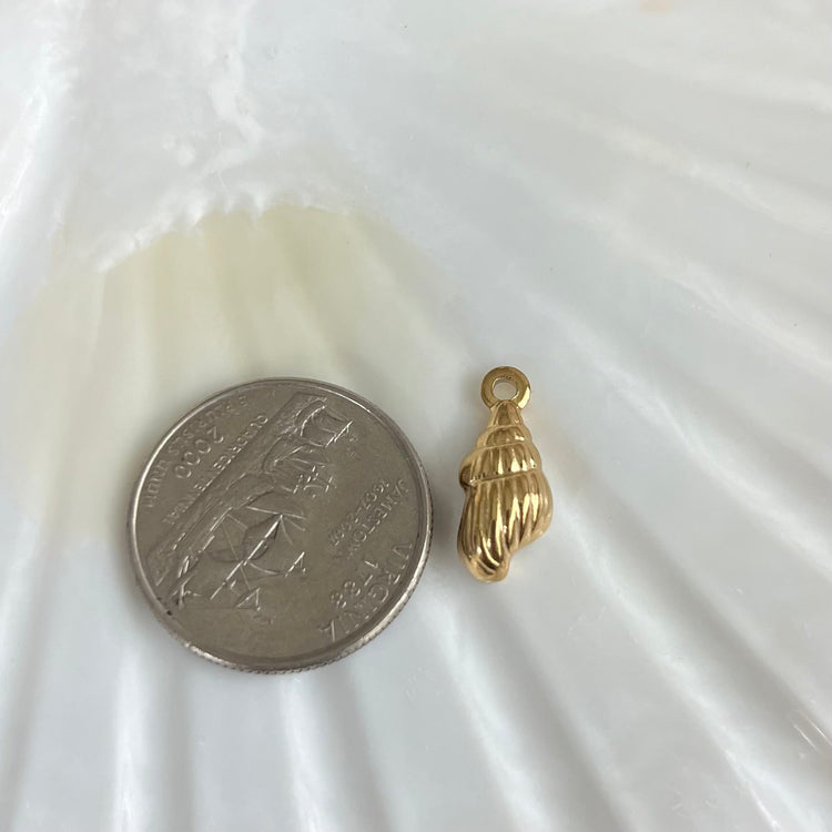 Long Conch Shell Charm XMTX Collections
