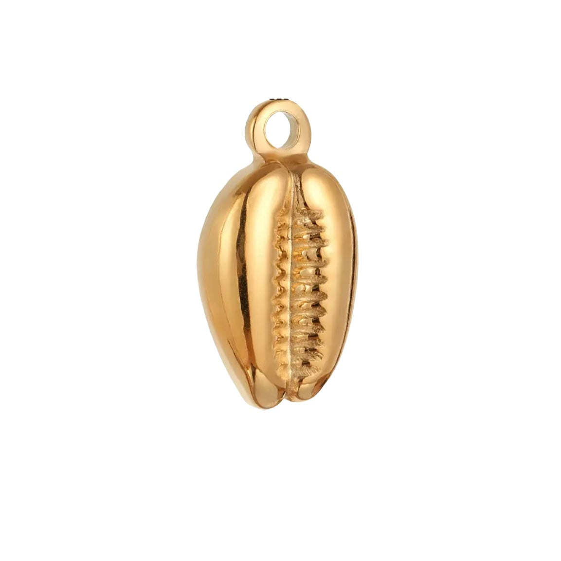 Long Shell Charm XMTX Collections