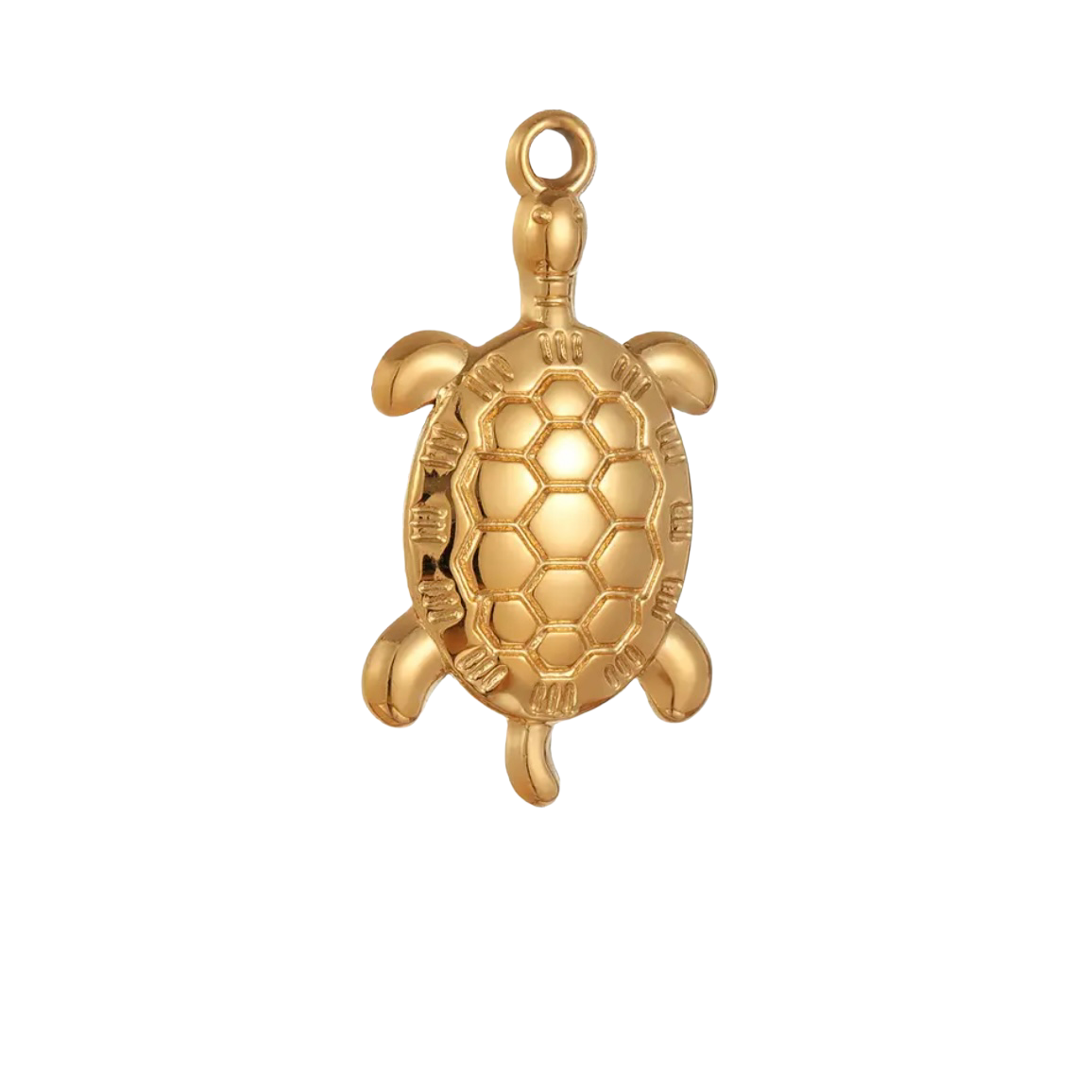 Gold Turtle Charm XMTX Collections