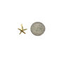 Seastar Charm XMTX Collections
