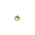 Gold Sea Shell Charm XMTX Collections