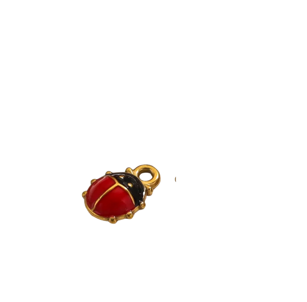 Small Ladybug Charm