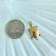 Gold Turtle Charm