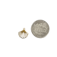 Gold Sea Shell Charm XMTX Collections
