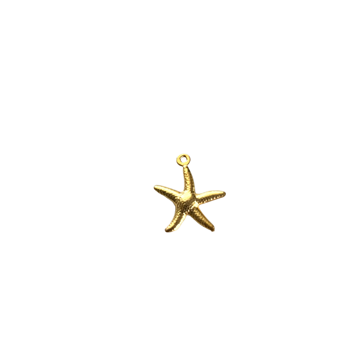 Seastar Charm