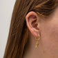 Starfish Huggies Earrings XMTX Collections shown on an ear
