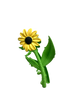 🌻 Sunflower Metal Hair Claw Clip XMTX Collections