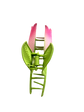 Tulip 🌷 Metal Hair Claw Clip XMTX Collections