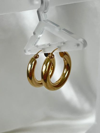Taylor Chunky Hoop Earrings XMTX Collections