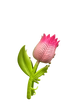 Tulip 🌷 Metal Hair Claw Clip XMTX Collections